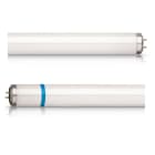 Philips - PBZ86085600 Actinic BL TL-DK Secura 36W/10 1SL/25