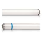 Philips - PBZ85383400 Actinic BL TL-D 18W/10 Secura 1SL/25
