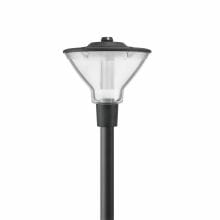 Philips - PBZ93927700 BDS491 CG25-/730 II S GR 60.