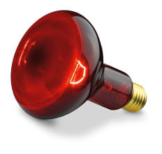 BEURER - BUE61451 Ersatzstrahler / spare bulb 100W (IL 11)