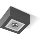 PERFORMANCE IN LIGHT - PRI304875 MIMIK 10 CEILING C/I20 10W 4000K GR94