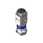 TEAFLEX - TEAMRGM406 M.G. RAPIDO D.36 ISO40