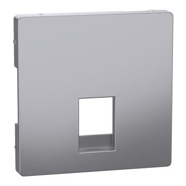 SCHNEIDER ELECTRIC - SNRMTN4215-6036 Central plate for RJ11 and RJ12 stainless steel, System Design