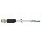 MURRELEKTRONIK SRL - MUE7000131013490250 M12 MAS. 0? SCHERMATO CON CAVO
