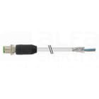 MURRELEKTRONIK SRL - MUE7000170812910500 M12 MAS. 0? SCHERMATO CON CAVO