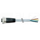 MURRELEKTRONIK SRL - MUE7000780219610800 7/8 FEM. 0? CON CAVO