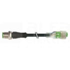 MURRELEKTRONIK SRL - MUE7000403116240200 M12 MAS. 0? / M12 FEM. 0? LED