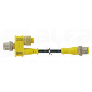MURRELEKTRONIK SRL - MUE7030426420000000 EL. A T M12MAS. 5P/M12MAS.+CAVO 2P+M12FE