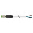 MURRELEKTRONIK SRL - MUE7000080012100500 M8 MAS. 0? CON CAVO