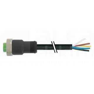 MURRELEKTRONIK SRL - MUE7700A5021UMD0500 MINI (7/8) 5 POLI, FEM. 0? CON CAVO