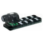 MURRELEKTRONIK SRL - MUE8000885510000000 EXACT12 8XM12 5 POLI CALOTTA ESTRAIBILE