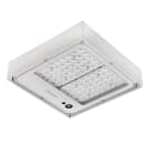 SIGNIFY ITALY SPA - PHA99764200 Mini 300 LED gen3, Under-canopy light, 91 W, 14400 lm, 4000 K, CRI70, Interna (nessuna connessione esterna), Petrol Rotational Symmetric Medium, IP66