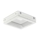 SIGNIFY ITALY SPA - PHA83142400 Ceiling-/wall luminaire - NatureConnect