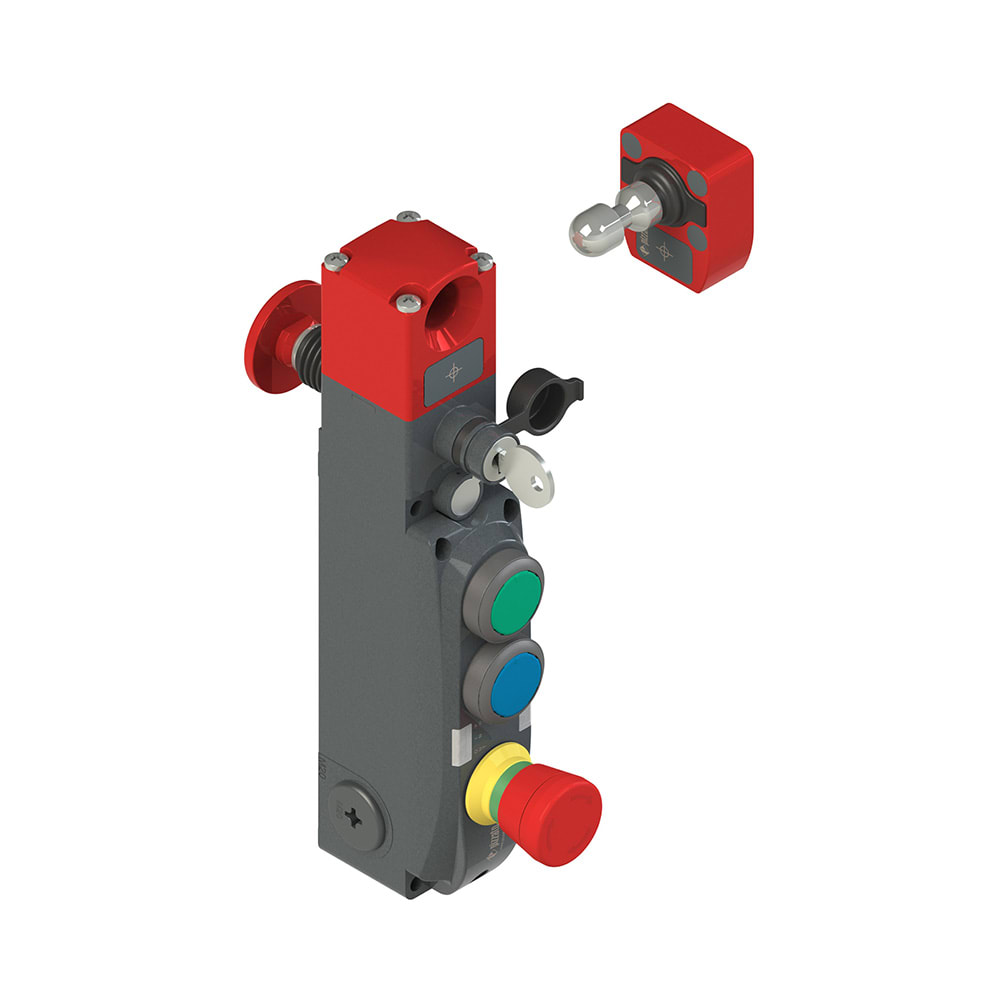 PIZZATO ELETTRICA - PZZNG 2D6D413C-F31 Interruttore di sicurezza con blocco ser