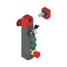 PIZZATO ELETTRICA - PZZNG 2D6D413C-F31 Interruttore di sicurezza con blocco ser