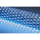 NOBILE ITALIA - NOB80321/RGB STRIP 5M 14W/M 84LED/M RGB IP20 24V