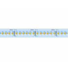 NOVALUX SPA - NOX102501.99 STRIP LED: 19,2W/M-24V-5M-3K