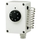 ORBIS - ORBOB581130 TS 9501 Termostato scatolato, dispositivo interno: termoregolatore a capillare, campo regolazione 5 - 60 °C, IP40