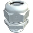 OBO BETTERMANN - OBO2024802 VTEC PG48 LGR PRESSACAVO