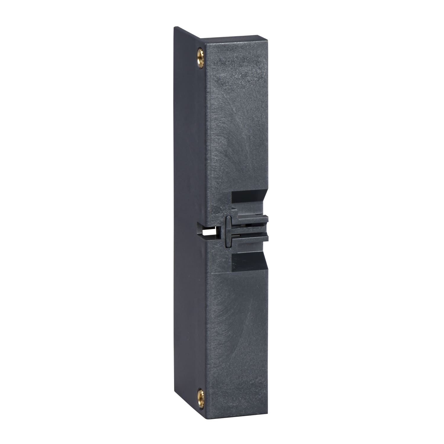 SCHNEIDER ELECTRIC - SNR28956 2 COPRIVITI INS100/160
