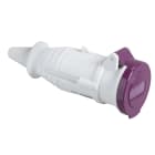 SCHNEIDER ELECTRIC - SNR82401 PRESA MOB.IP44 2P 16A 24V 50HZ