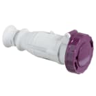 SCHNEIDER ELECTRIC - SNR82451 PRESA MOB.IP67 2P 16A 24V 50HZ