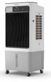 OLIMPIA ELDON - OLI99207 PELER 40