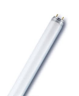 LEDVANCE - LDVL3666 L 36W/66 FLH1 OSRAM