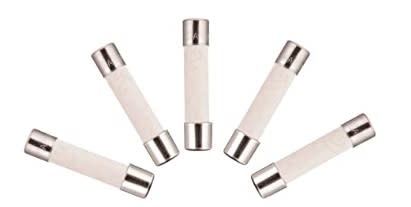 A.M.R.A. SPA - AMRP01297101 CHAUVIN ARNOUX FUSIBILE A T 15A,250 (5X)