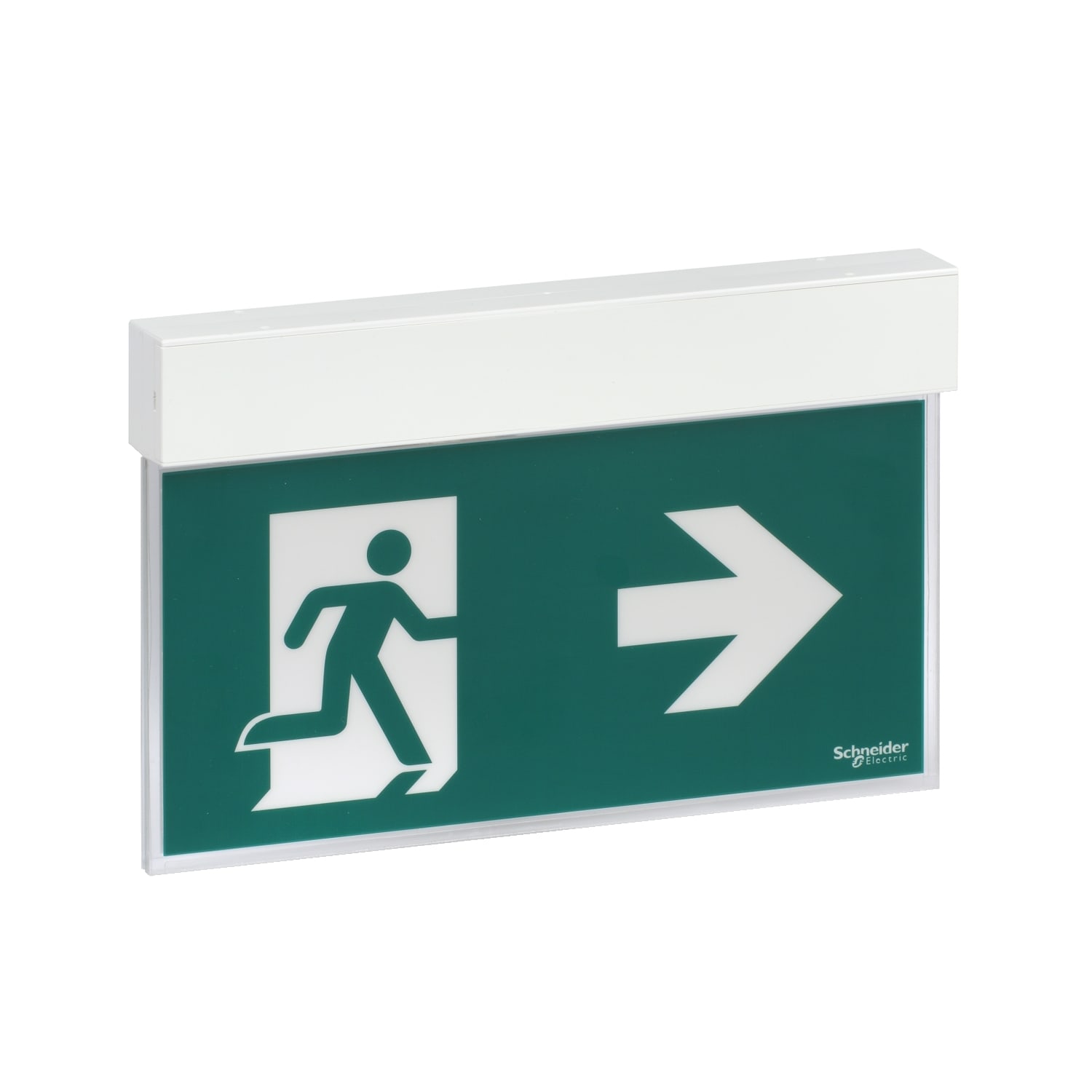 SCHNEIDER ELECTRIC - SNROVA38250 Exiway Easysign, IP40, Autoalimentato Standard, Permanente (SA) / Non Permanente (SE), 24m, 1,5h, Apparecchio di segnalazione di sicurezza