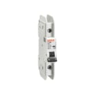 LOVATO - LOVP1MBUH1PC02 MCB 1P C2 277V 10KA UL489