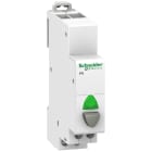 SCHNEIDER ELECTRIC - SNRA9E18036 Pulsante iPB 1NA 20A 250Vca grigio e spia verde 110÷230Vca