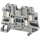 SCHNEIDER ELECTRIC - SNRNSYTRV44 Morsetto vite, 4pt, 4 mm² grigio