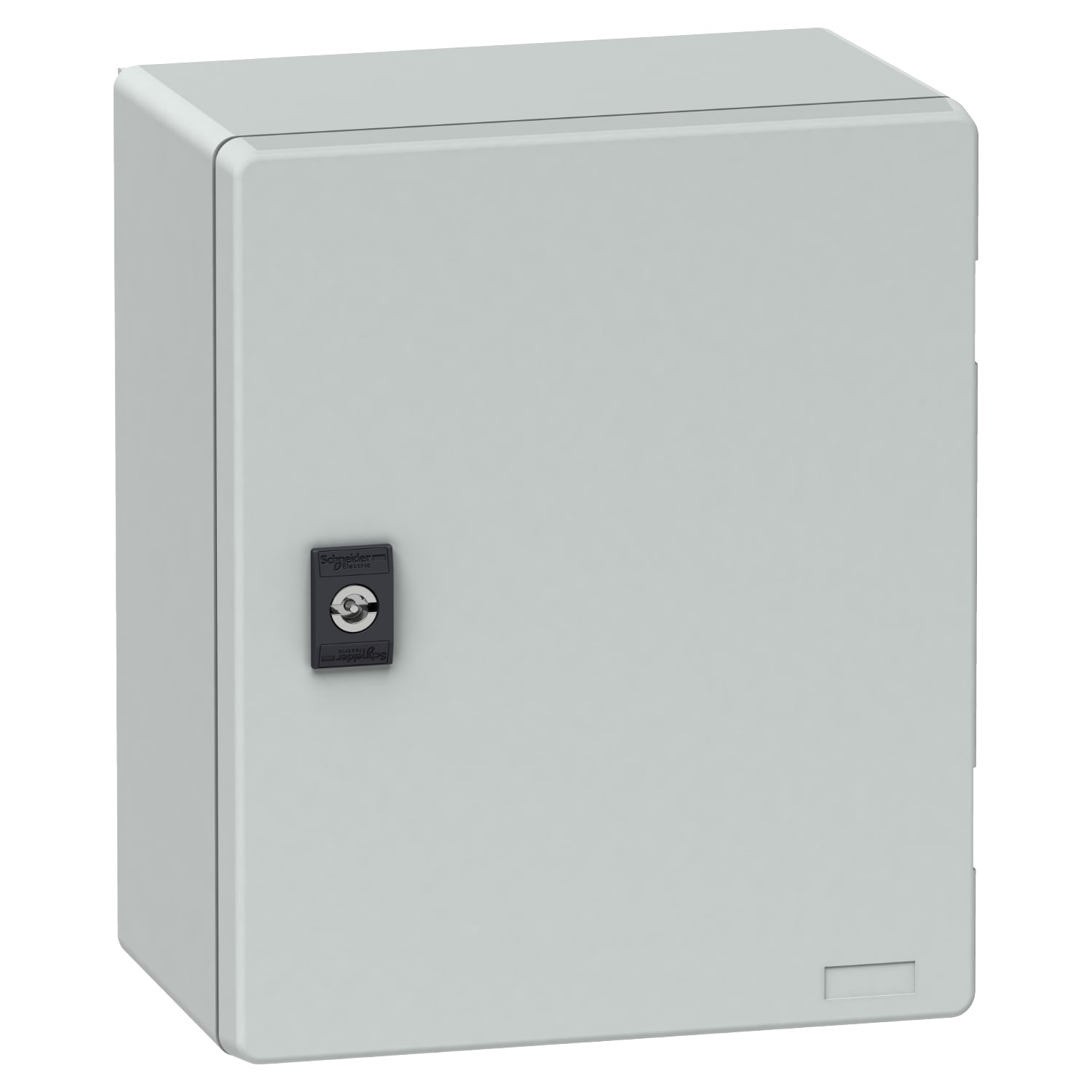 SCHNEIDER ELECTRIC - SNRNSYPLM3025PG Cassetta in poliestere con porta liscia e piastra metallica, 308x255x160 mm, IP66, IK10, RAL 7035