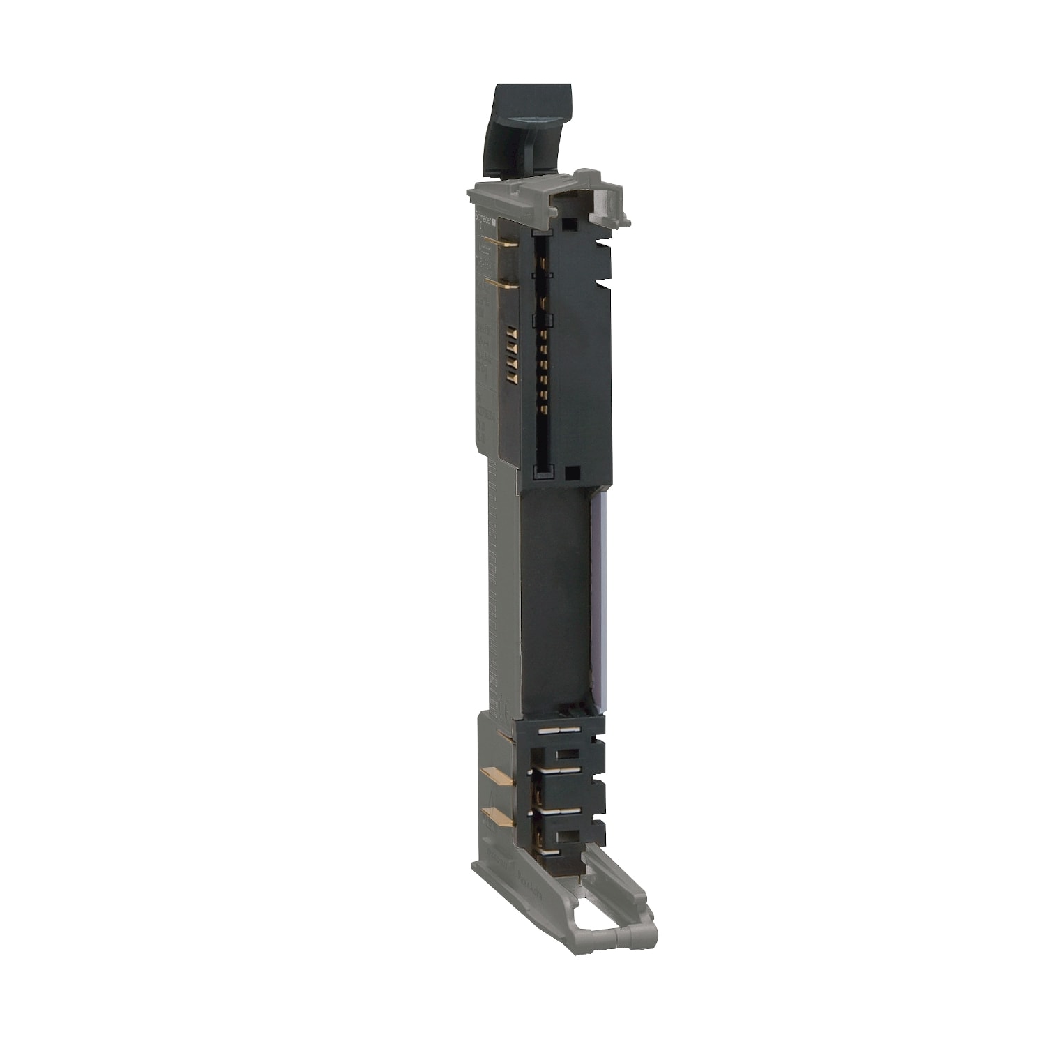 SCHNEIDER ELECTRIC - SNRTM5ACBM01R Base bus - 24 Vcc - grigio - 1 pz