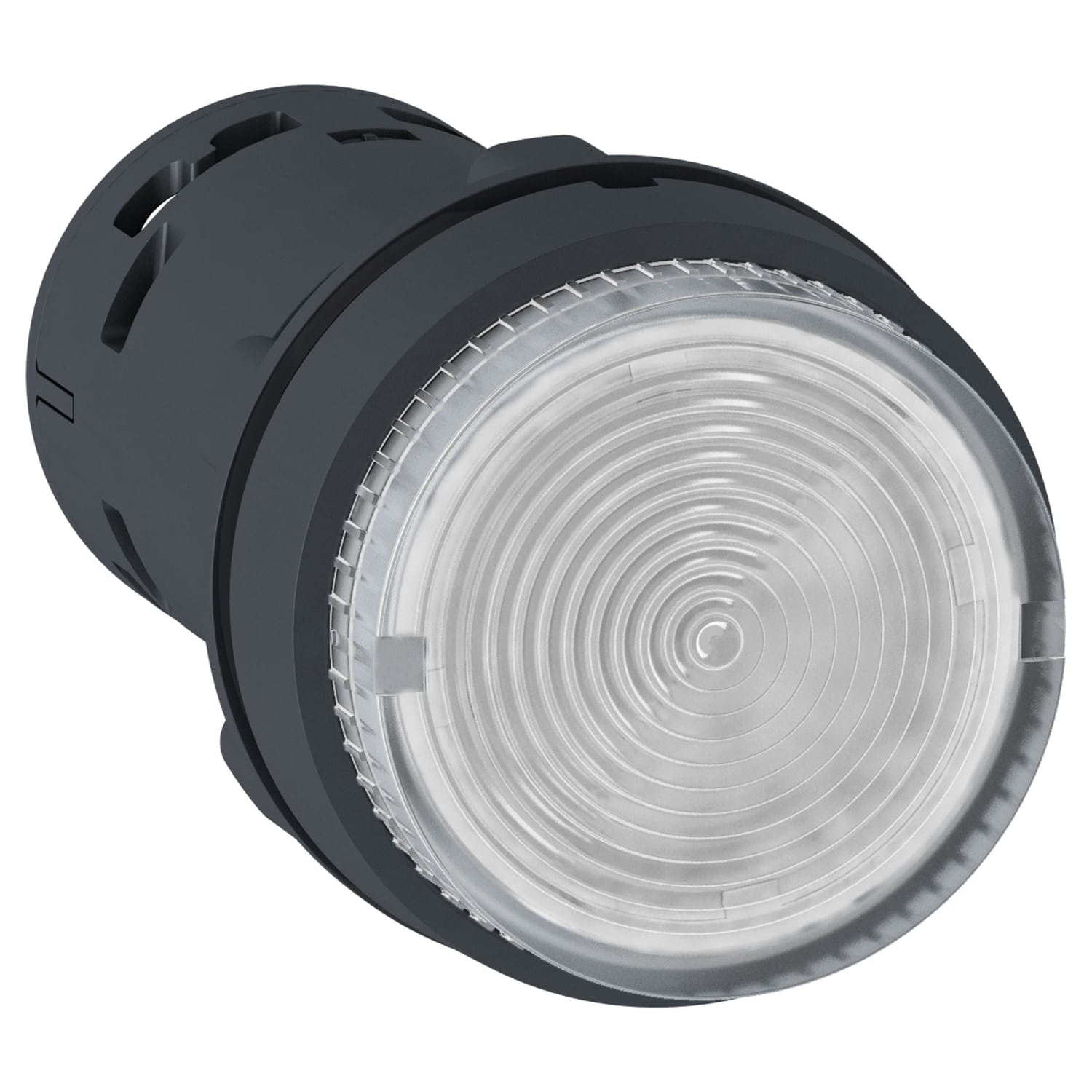 SCHNEIDER ELECTRIC - SNRXB7NW37B1 Pulsante luminoso - LED - ad impulso - 1 NO - trasparente - 24 V