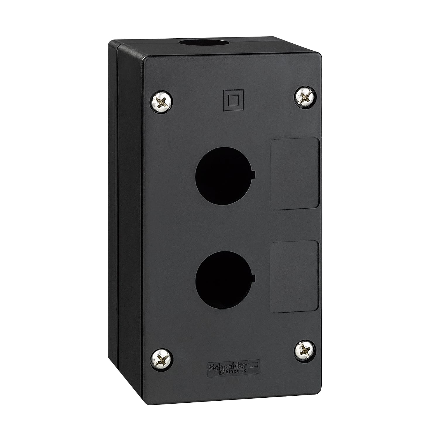 SCHNEIDER ELECTRIC - SNRXALG020 PULSANTIERA VUOTA 2 FORI AMB.GRAVOSI