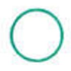 IBP BANNINGER ITALIA - IBPPH4992 0220300 ORING FKM VERDE PI 22