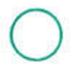 IBP BANNINGER ITALIA - IBPPH4992 0220300 ORING FKM VERDE PI 22