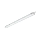 SIGNIFY ITALY SPA - PHA16316700 CoreLine Stagna, 29 W, L1200 mm, 4000 lm, 4000 K, Fascio largo, Smerigliata, IP65, IK08, TW1-ready, Adels