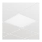 SIGNIFY ITALY SPA - PHA79152000 RC065B LED34S/840 PSU W60L60 NOC 1PK