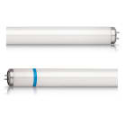 SIGNIFY ITALY SPA - PHL1510SEC Actinic BL TL-D(K) Secura - UV lamp - Consumo energetico: 15 W