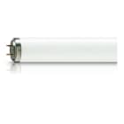 SIGNIFY ITALY SPA - PHL6010R Attiniche UVA/10 - UV lamp - Consumo energetico: 62 W