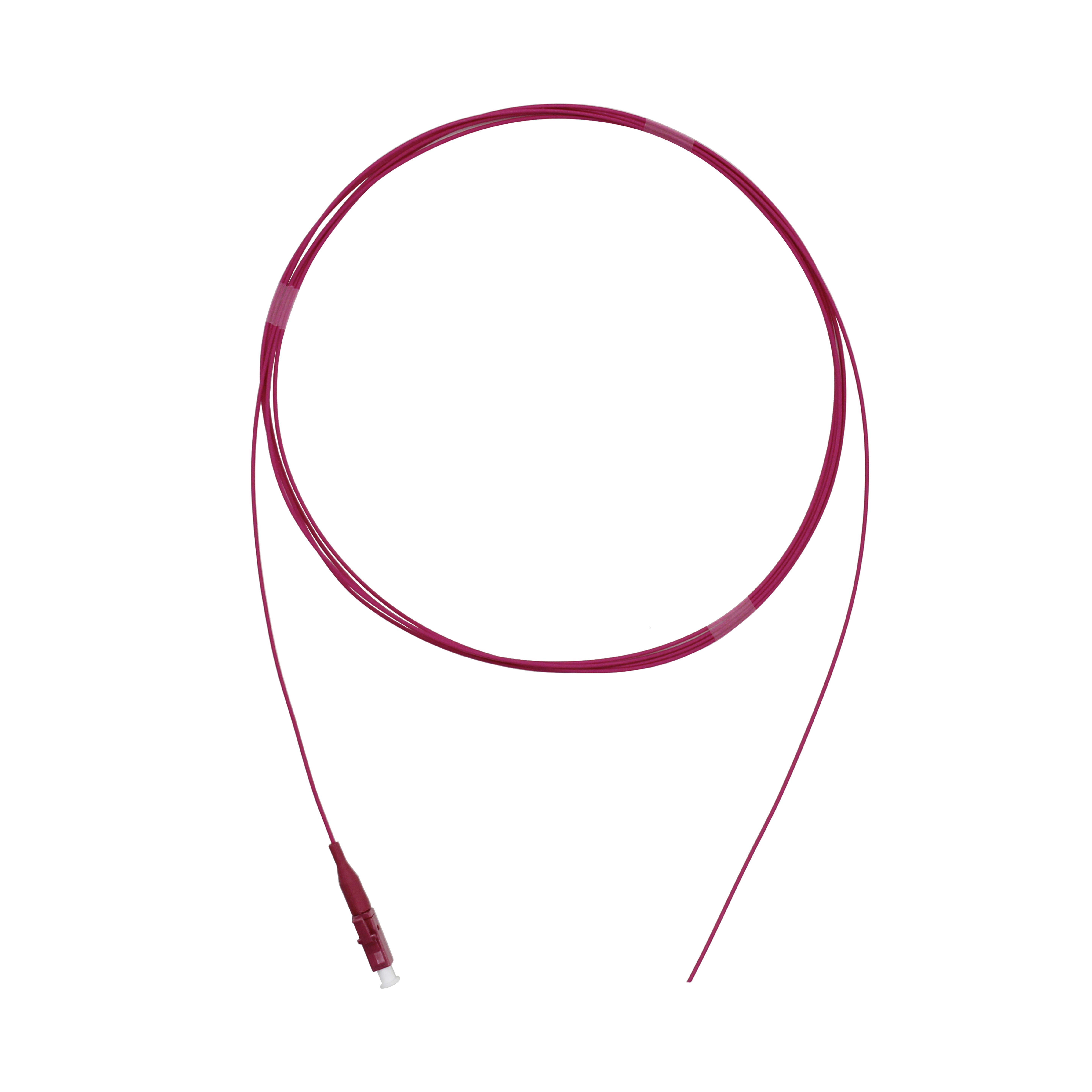 FTE MAXIMAL ITALIA S - FTEPIGLCMM-02 PIGLCMM-02 PIGTAIL MM OM4 2MT. CONN. LC/