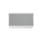 PLATEK LIGHT SRL - PLK1535662.06 SPECIAL APP 37W-4K WIDE-2 FINESTRE -GRIG