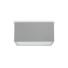 PLATEK LIGHT SRL - PLK1536612.02 SPECIAL APP (37W-3K) 2 FINESTRE-SOFT -BI