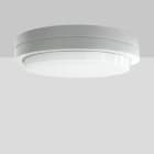 PERFORMANCE IN LIGHT - PRI304271 BLIZ ROUND 40 LED 39W 4K DALI WH87