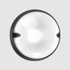 PERFORMANCE IN LIGHT - PRI3100164 CHIP TO25 9,5 S/EW 840 BK81