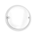 PERFORMANCE IN LIGHT - PRI3100171 CHIP TO30 14 S/EW 830 WH87