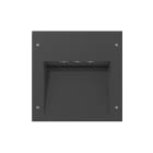 PERFORMANCE IN LIGHT - PRI3100880 INSERT+3 24 A/W 730 AN96